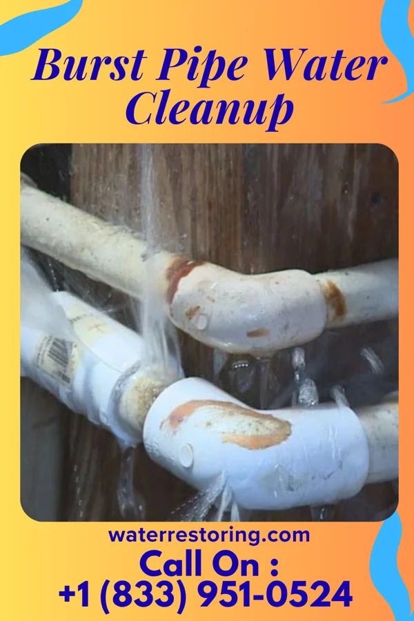 Burst Pipe Water Cleanup in Wharton, NJ