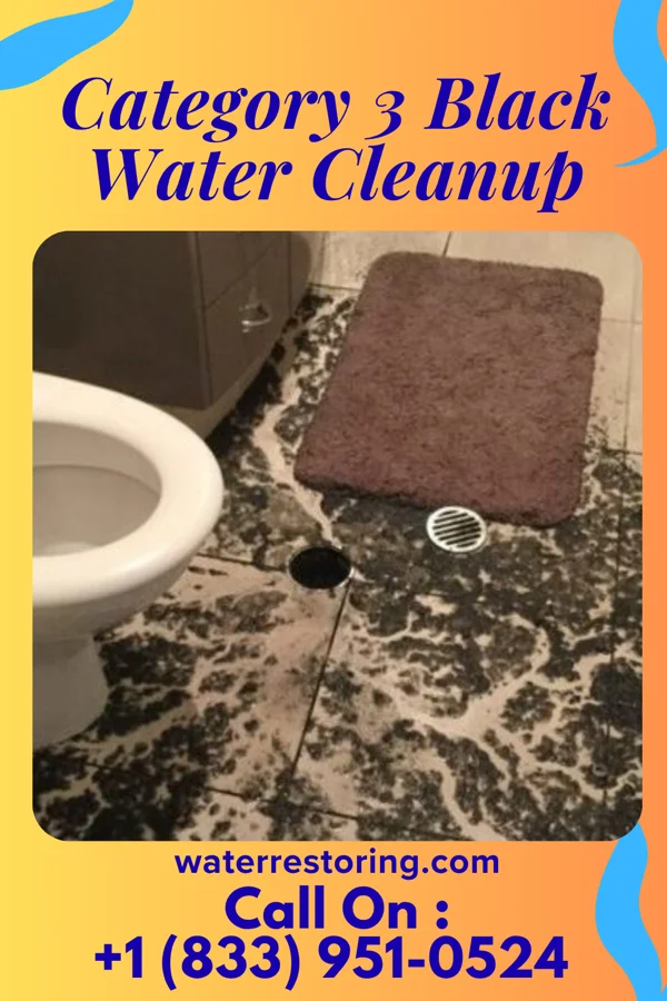 Category 3 Black Water Cleanup in Wharton, NJ
