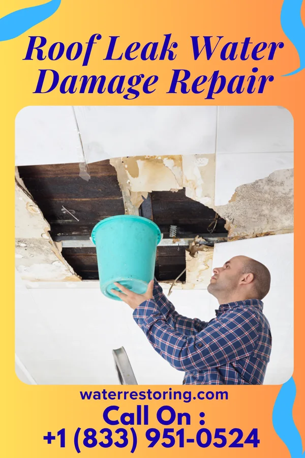 Roof Leak Water Damage Repair in Wharton, NJ