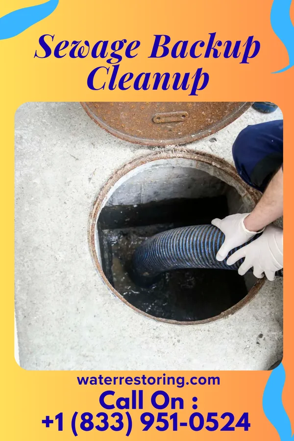 Sewage Backup Cleanup in Wharton, NJ