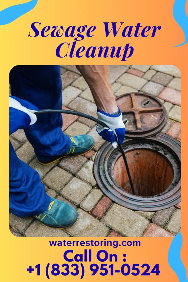 Sewage Water Cleanup in Wharton, NJ