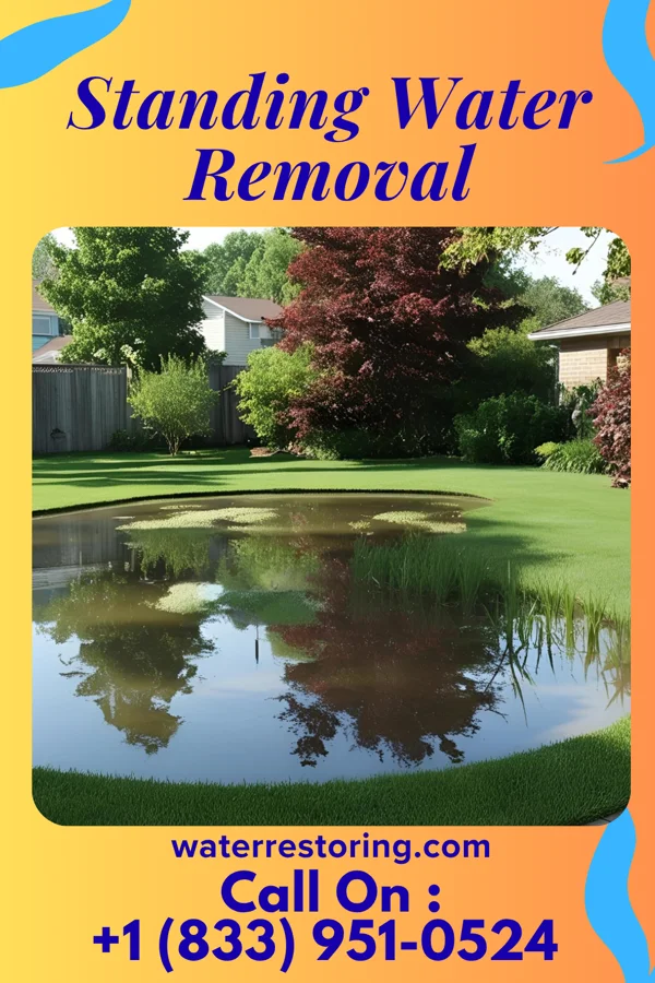 Standing Water Removal in Wharton, NJ